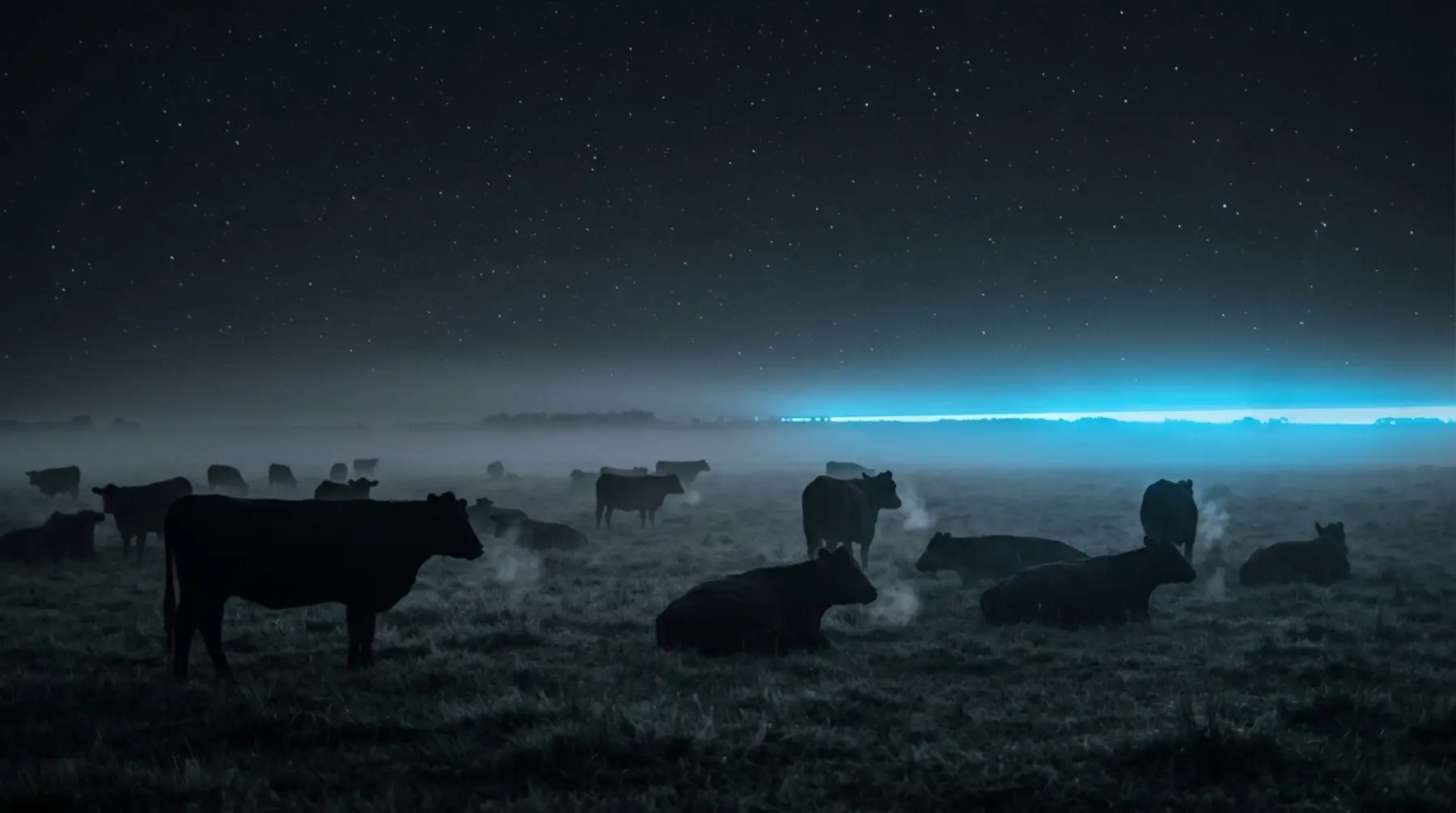 Rodeo de noche en la pampa, con el horizonte iluminado